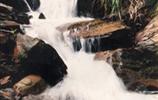 玉龍?jiān)?、響水?></a></dd>
  <dd>
	 

	

	 

	　　雨母山西北一個(gè)山皂，東西縱向長達(dá)1公里。有叫玉龍?jiān)恚薪许懰?。該皂有響水泉和響水瀑布。在玉龍?jiān)砼c九龍沖相隔的山坳，叫玉龍騰山坳，簡(jiǎn)稱玉龍坳。玉龍土皂現(xiàn)駐有供電所、林場(chǎng)和蒸湘區(qū)黨校。在玉龍?jiān)淼祝幸蝗_(tái)，叫玉龍臺(tái)。...[<a href=