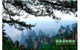【純玩獨立成團線路1】張家界、袁家界、天子山、寶峰湖/黃龍洞二晚三日