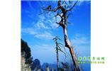 湘西之旅：張家界、天子山、寶峰湖/黃龍洞、鳳凰古城、猛洞河漂流、天門山六日游