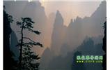 張家界國家森林公園、寶峰湖/黃龍洞、鳳凰古城、三峽八日游