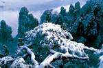 【純玩拼團(tuán)線路18】下午班：鳳凰古城、張家界、天子山三晚四日游