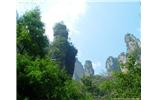 【純玩拼團線路 張家界出發(fā)A2線】張家界、袁家界、天子山、金鞭溪、鳳凰古城2晚3日游